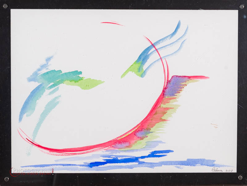 P66 — l'envole  © Carmen Gloria Palma