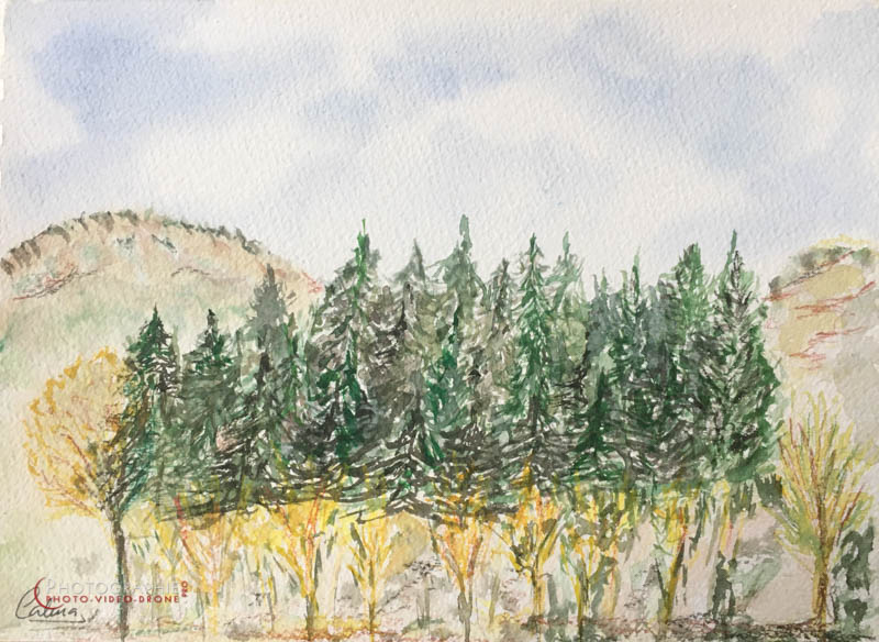 P70 - Alsace © Carmen Gloria Palma