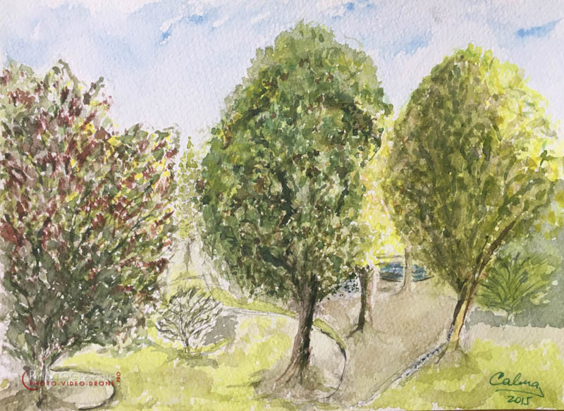 P71 - Parc salvator à Mulhouse  © Carmen Gloria Palma