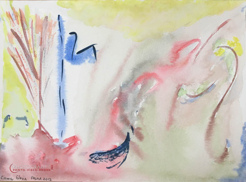 P76 - Les algues © Carmen Gloria Palma