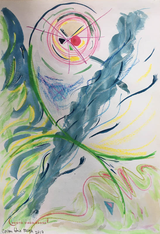 P83 - La Boussole  © Carmen Gloria Palma