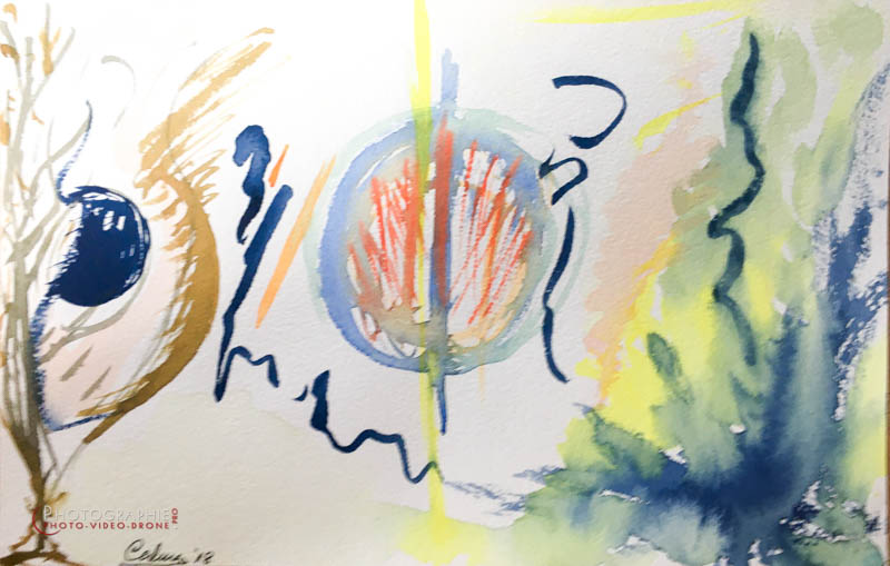 P95 - Pensées © Carmen Gloria Palma