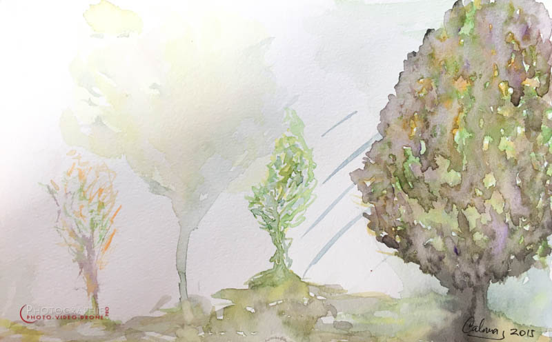 P96 - Généalogie © Carmen Gloria Palma