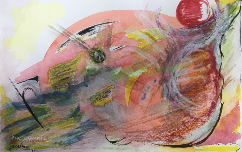 P97 - évolution © Carmen Gloria Palma